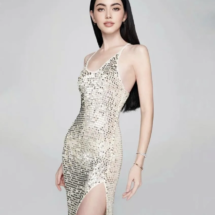 davika-hoorne (47)